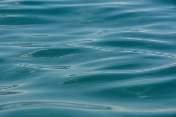 istock Close-up of sea 1216004354
