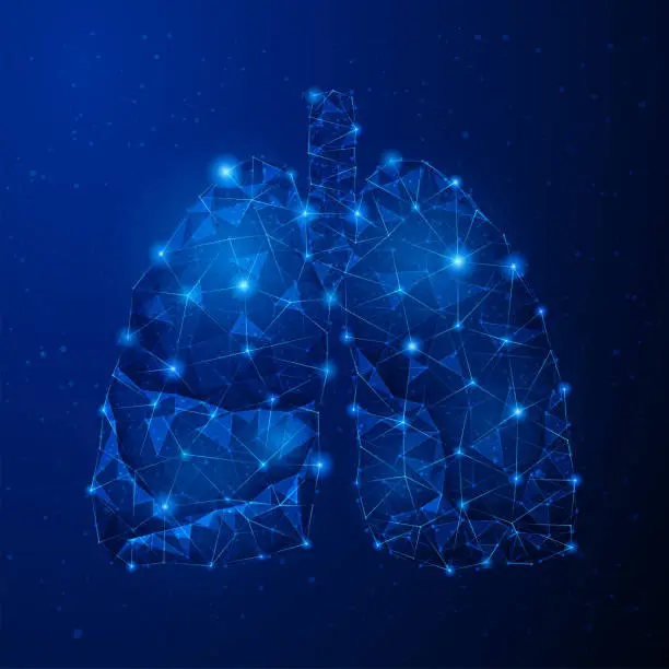 Vector illustration of Human Lungs - Abstract vector image - three-dimensional low poly illustration. Outlines, triangles, dots. Plexus. Template design on dark blue background.