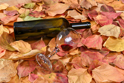 Empty wine bottle on yellow leaves.