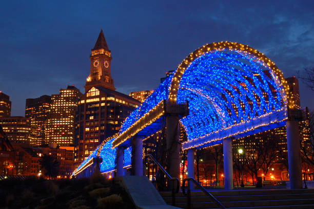 istock An illuminated trellis in Boston 1216010399