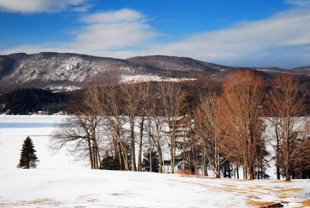 A strand of trees grow along a frozen lake in a New England valley