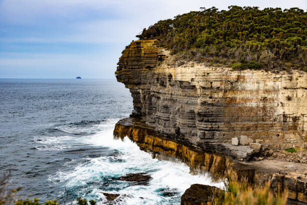 istock Clif in Tasmania, Australia 1216011090