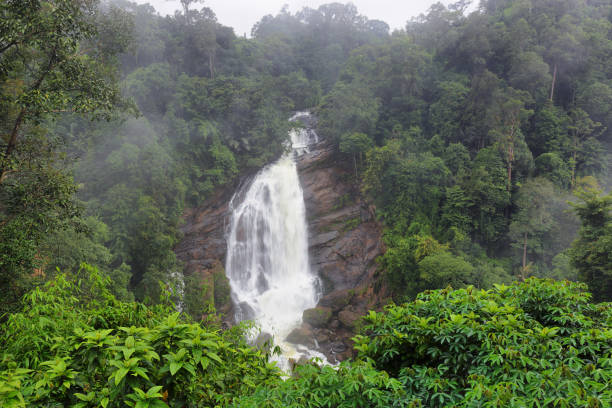 istock Valara Waterfalls in Kerala province, India 1216011437