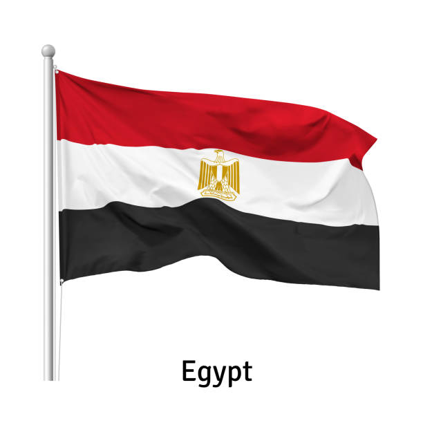 istock Flag of the  Arab Republic of Egypt in the wind on flagpole, vector 1216011575