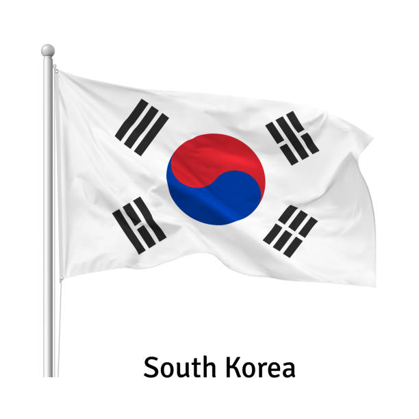 깃대에 바람에 대한민국의 국기, 벡터 - south korea south korean flag korea flag stock illustrations