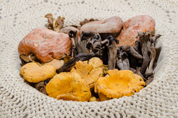 istock mushrooms, fungi 1216012711