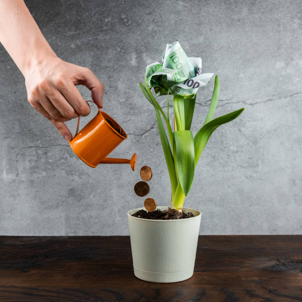 istock Concept of money is growing 1216012896