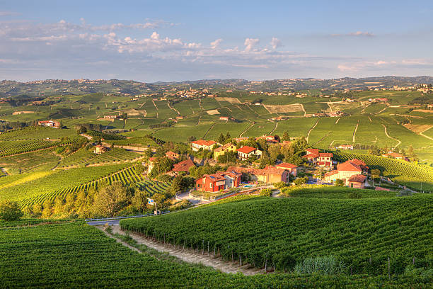 istock View on vineyards in northern Italy. 121601340