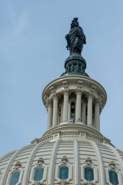 istock cherry blossoms in washington dc capitol hill 1216018069