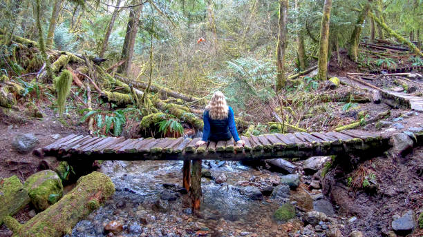 istock Mature female hiker walks along elevated boardwalk 1216020542