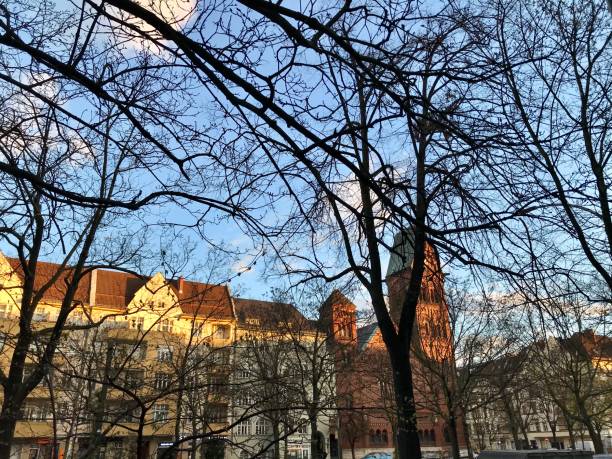 bare trees with church and yellowish building in berlin - bare tree winter plants travel locations imagens e fotografias de stock