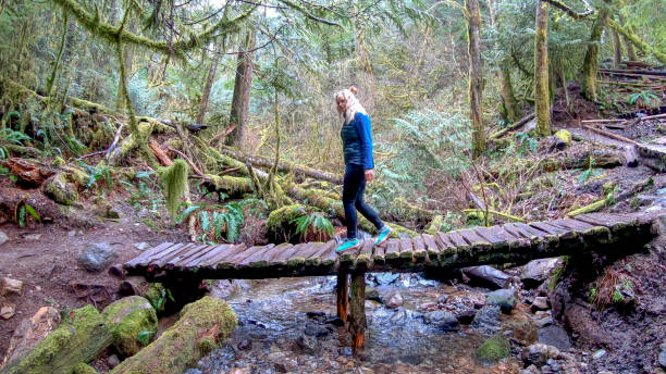 istock Mature female hiker walks along elevated boardwalk 1216020611
