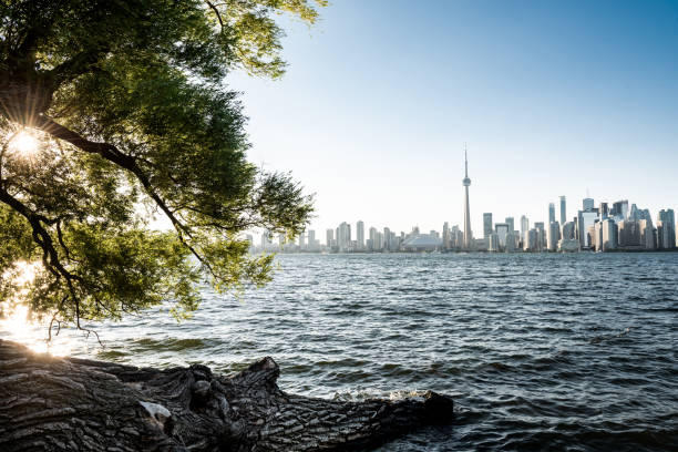 istock Toronto city skyline, Ontario, Canada 1216020631