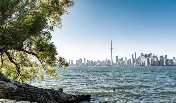 istock Toronto city skyline, Ontario, Canada 1216020635