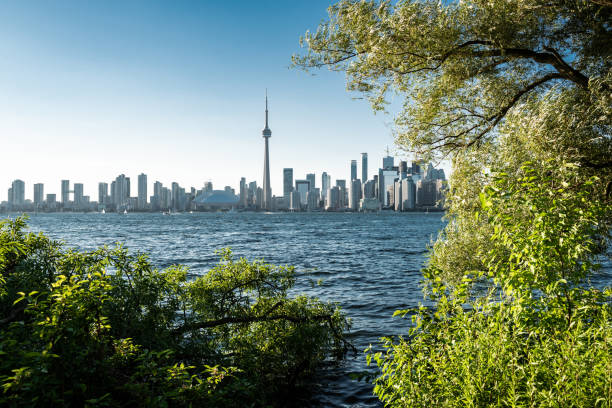 istock Toronto city skyline, Ontario, Canada 1216020638