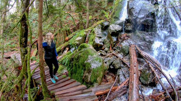 istock Mature female hiker walks along elevated boardwalk 1216020703