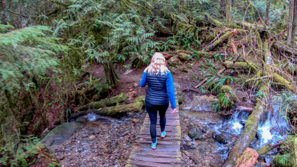 istock Mature female hiker walks along elevated boardwalk 1216020760