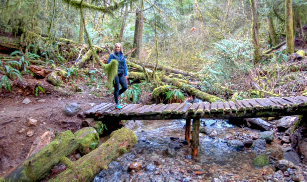 istock Mature female hiker walks along elevated boardwalk 1216020867
