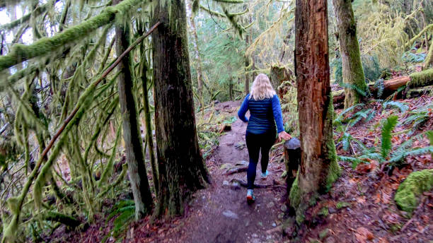 istock Mature female hiker walks along forested trail 1216020905