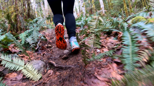 istock Mature female hiker walks along forested trail 1216021058