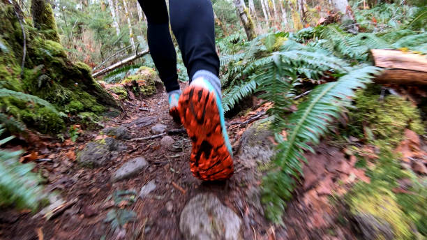 istock Mature female hiker walks along forested trail 1216021102