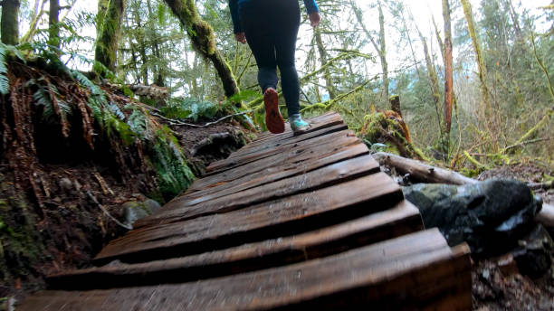 istock Mature female hiker walks along forested boardwalk 1216021119