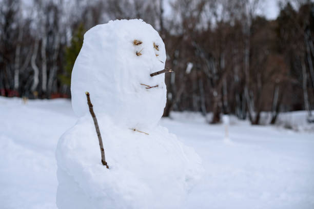 istock Snowman's head in a winter Park, Russia. 1216021401