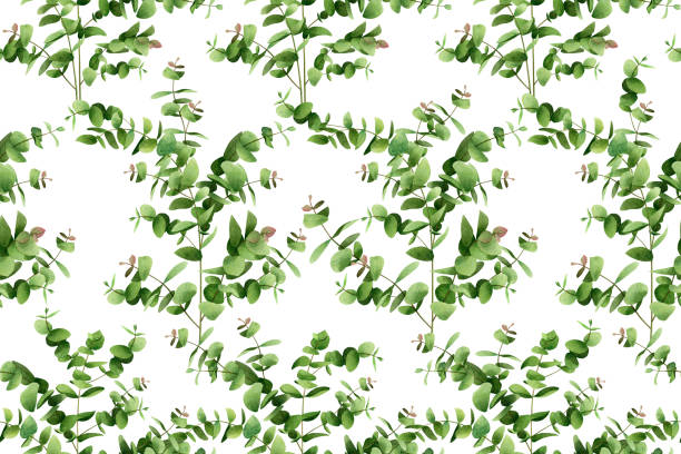 istock Watercolor painting  eucalyptus branches leaves on white.Green leaf seamless pattern background.Watercolor illustration tropical exotic aroma leaf prints for wallpaper,textile aloha spring summer. 1216021532