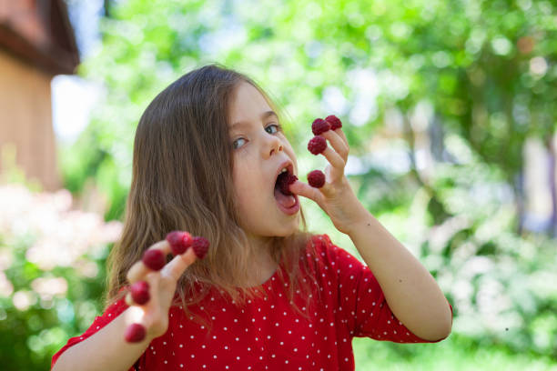 istock Happy child with raspberry on her fingers outdoors in summer 1216022209