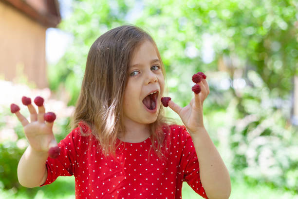 istock Happy child with raspberry on her fingers outdoors in summer 1216022987