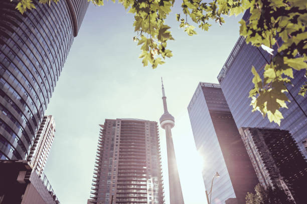 istock Modern buildings in Toronto city, Canada 1216023911