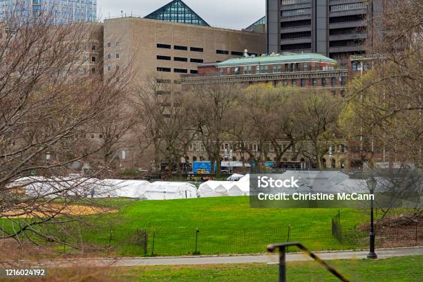 Hospital Tents In Central Parks East Meadow Stock Photo - Download Image Now - Mount Sinai Hospital - Manhattan, Hospital, Tent