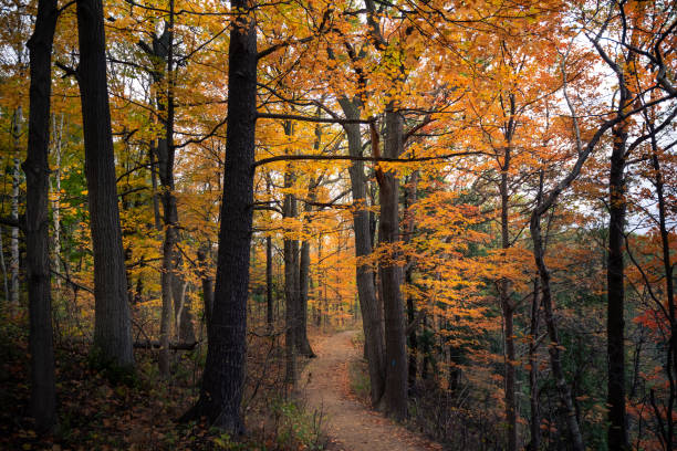 istock Beautiful fall autumn landscape in Canada 1216024569