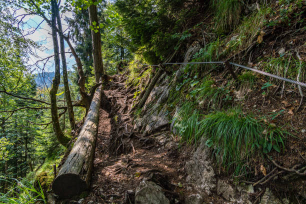 istock Climbing on the Drachenwand via ferrata 1216025402