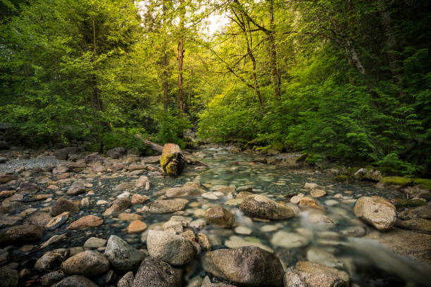 istock Shannon Falls, Squamish, Whistler, Vancouver, Canada 1216025717