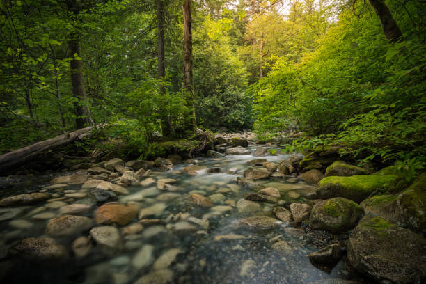 istock Shannon Falls, Squamish, Whistler, Vancouver, Canada 1216025735