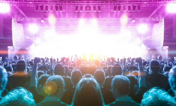 istock Music festival crowd 1216025893
