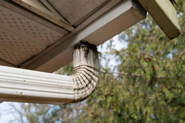 istock Exterior house gutter and clogged downspout 1216031061