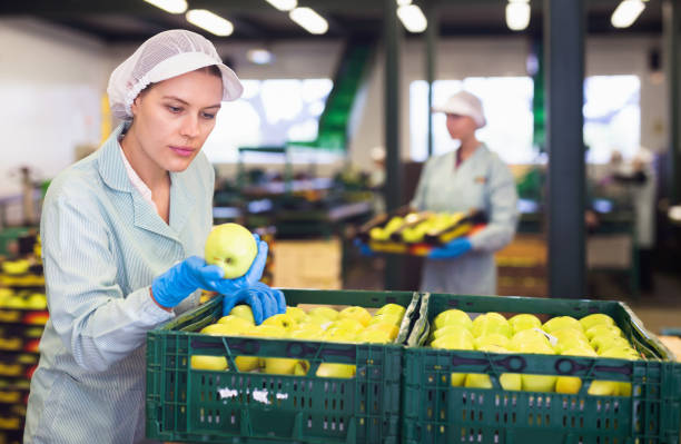 istock Young woman in uniform holding crate with apples during packaging at warehouse 1216031907