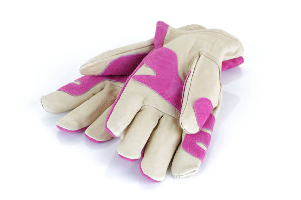 istock Pink garden gloves isolated on white background 1216034453