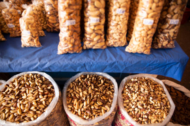 istock Brazil's Chestnut See-o-Peso. 1216034871