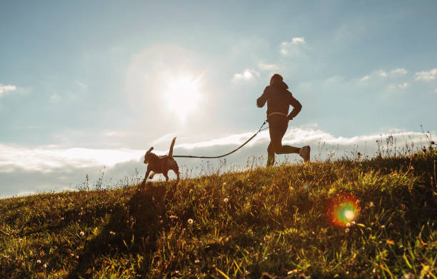 hombre corriendo con su perro beagle en la mañana soleada. estilo de vida saludable y canicross ejerce la imagen del concepto de jogging. - mens track fotos fotografías e imágenes de stock