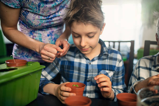 Mother and kids preparing home cultivation of hydroponics plants at home. They are moving seedlings into self made hydroponics system.Shot with Nikon D850