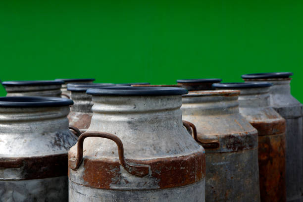 group of old metal cans for milk transport and handling
