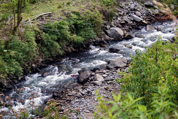 istock Stream in the Intag Valley 1216039386