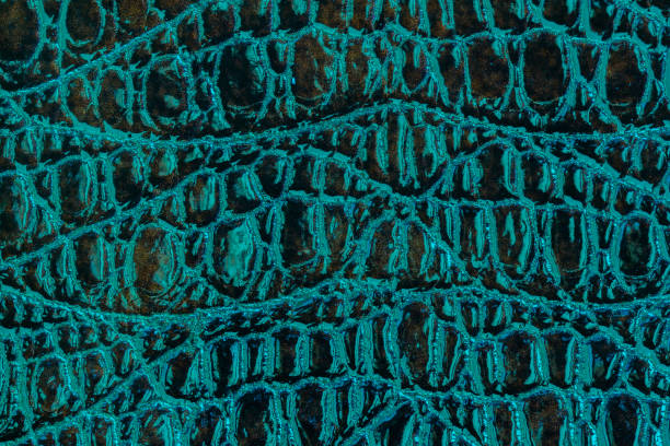 istock Abstract green emerald color patent leather texture, embossed scales reptiles on the surface, bright design background 1216040136