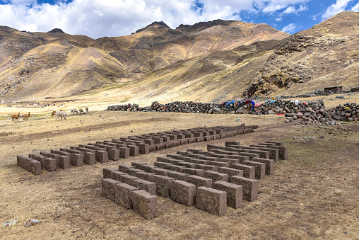 Adobe mud bricks drying in the sun in rural farmland in the Peruvian Andes. Chillca, Cusco, Peru