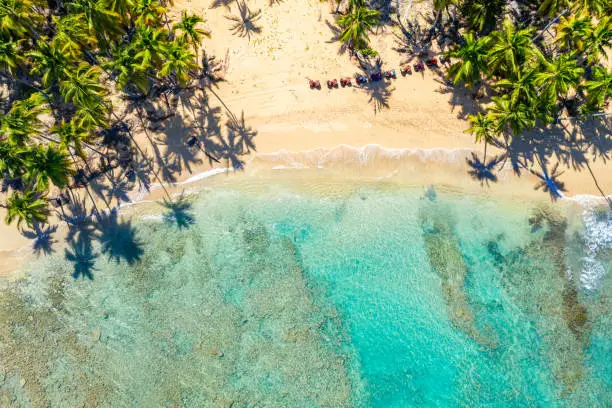 Aerial drone view of beautiful wild caribbean tropical beach with palms and quad bikes. Dominican Republic. Vacation background