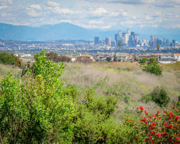 istock Hummingbird Garden - Kenneth Hahn State Recreation Area 1216047015