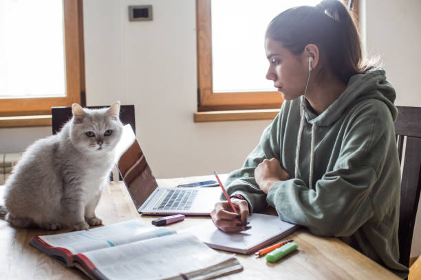 nauka studentów w okresie izolacji - self improvement audio zdjęcia i obrazy z banku zdjęć